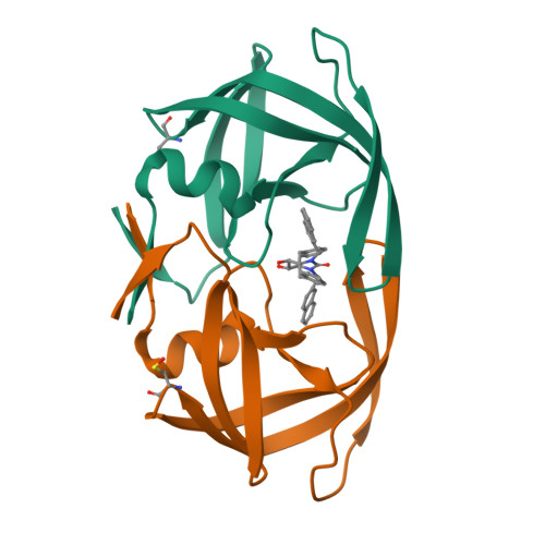 Protein ribbon structure with bound ligand